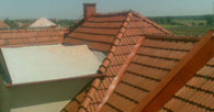 Revize